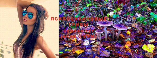 мяу мяу кристалл Елизово