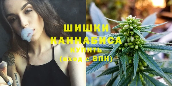 первитин Ельня