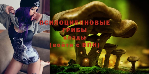 первитин Ельня